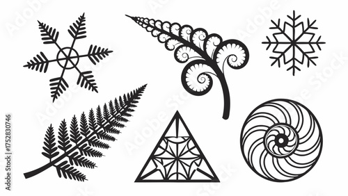 Harmonious Nature and Geometric Patterns. Fractal Designs, Organic Spirals, Ferns, Snowflakes, Nautilus Shell for Web Design, Branding, Education, Wellness