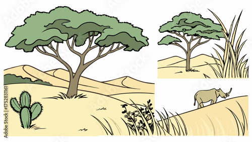 Illustrated African Savanna Desert Landscape with Acacia Trees Cactus Rhinoceros and Sand Dunes for Wildlife Education Travel Guides and Kids Books
