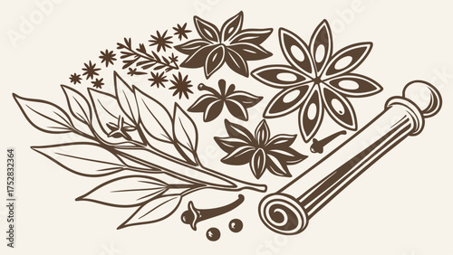 Natural Aromatic Spices and Herbs Outline Vector Illustration for Cooking Baking Recipes Food Blog Restaurant Menu Design