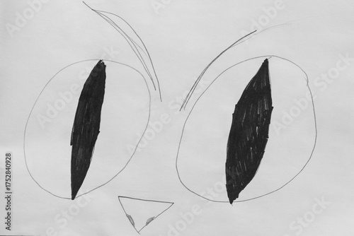 Childs Pencil Sketch of a Cats Face