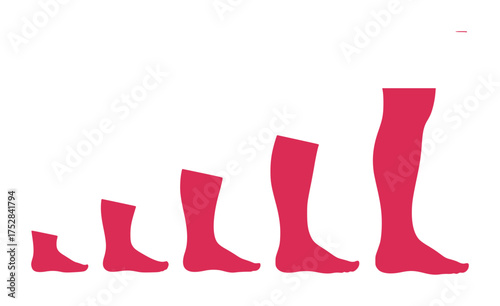 Progression of Human Legs from Foot to Thigh in Red Silhouette