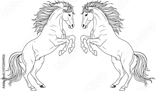 Majestic horses rearing up in powerful display of strength and freedom