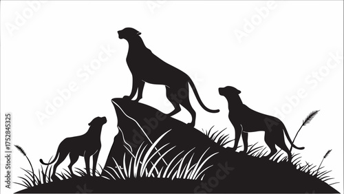 Vigilant Black Panther Silhouettes on Rock in Wild Landscape. Powerful Wild Cats for Nature Conservation, Leadership, Strength, Brand Identity