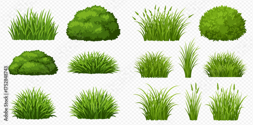 Various clumps of green grass and bushes on a transparent background.
