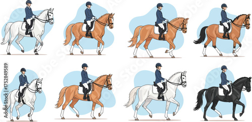 Equestrian rider demonstrating different horse gaits in a stylized illustration.