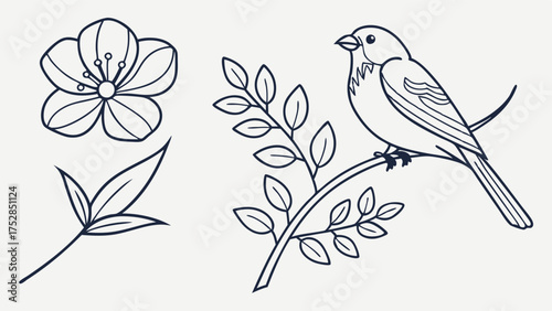 Elegant Line Art Bird, Flower, and Leaves. Minimalist Nature Outline Illustration for Spring Botanical Design, Web Graphics, Print Media, and Branding.