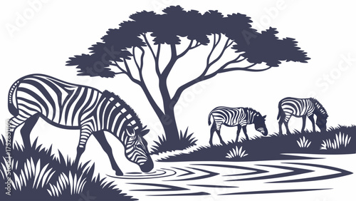 African Zebras Drinking Water at Savanna Watering Hole with Acacia Tree. Silhouette Vector Illustration for Wildlife Conservation, Safari Tourism.