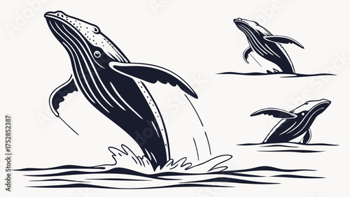 Majestic Humpback Whale Breaching from Ocean Waves. Dynamic Marine Wildlife Illustration for Eco-Tourism, Conservation, and Nautical Apparel Design.