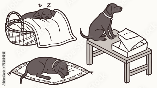 Cute Black Dog Puppy Resting Peacefully, Sleeping in Basket and on Cushion, Loyal Pet Companion for Home Comfort and Animal Well-being, Pet Care Lifestyle