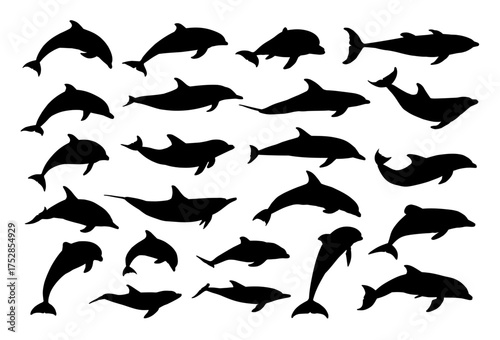 The big set silhouettes of marine dolphins.