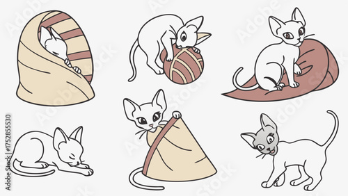 Cute Sphynx Cat Illustrations Set Playing Sleeping and Resting in Cozy Poses Adorable Hairless Kitten Vector for Pet Care and Lifestyle Design