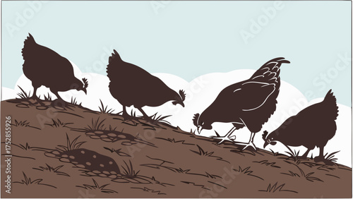 Free Range Organic Hens Foraging on Rural Farm Slope Natural Chickens Pecking Ground Healthy Food Source Illustration