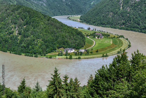 Donauschlinge im Mühlviertel