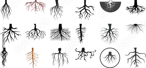Collection of Diverse Tree Root Illustrations and Silhouettes