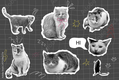 Cat halftone collage sticker set with doodle elements, trendy retro y2k pet, funky emoticon animal, pop aesthetic. Meme head with speech bubble. Funny kitty.