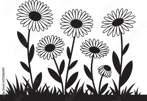 Daisy flower field silhouette with floral meadow scenery for garden landscapes and spring bloom illustrations in a monochrome theme vector
