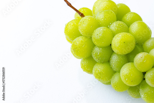 シャインマスカット