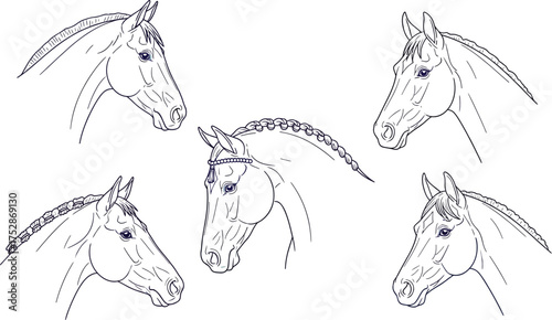 Elegant horse heads showcasing braided manes and decorative bridles, line art style