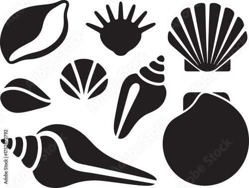 Various Seashell Silhouettes Collection Including Conch, Scallop, and Other Marine Shell Shapes