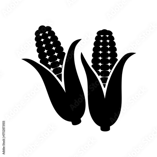 Harvest corn ears food agriculture organic natural sweet maize kernel staple grain agriculture farm
