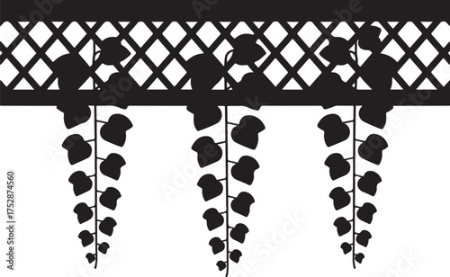 Wisteria climbing plant on trellis silhouette garden element hanging vines foliage decoration leaves frame nature botanical vector on transparent