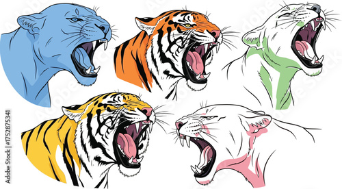 Fierce big cat heads roaring with open mouths, showcasing predatory power and wild instinct.