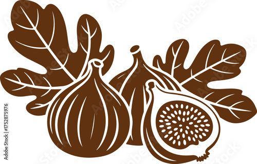 Fig Fruit with Leaves and Seed Illustration