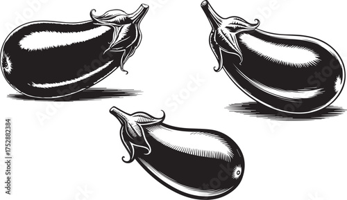  Illustration of a brinjal
