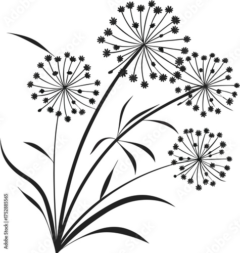 Elegant black and white dandelion seed head bouquet line art isolated on transparent background