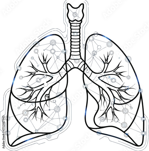 Illustration of human lungs and trachea connected by a network on a white background art concept