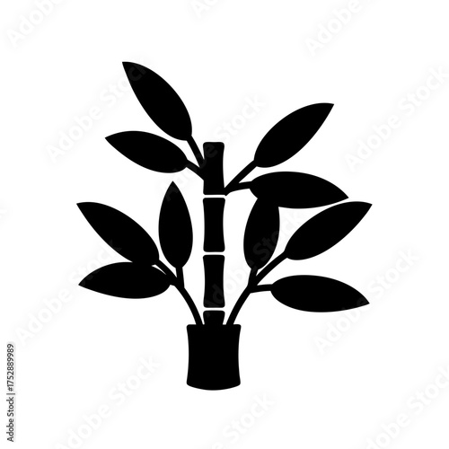Elegant silhouette of lucky bamboo plant with lush leaves symbolizing growth prosperity good fortune and serenity