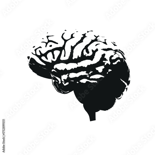 A special depiction of the human brain, detailed brain drawing, black and white brain drawing, artistic brain depiction, classical art, anatomical design. Old art illustration vector