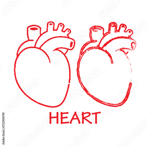 Contrast of two anatomical hearts highlights dual symbolic medical meanings.