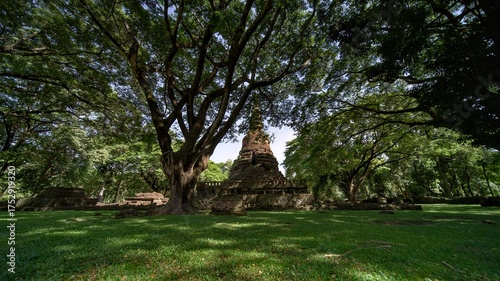 A large pagoda amidst big trees