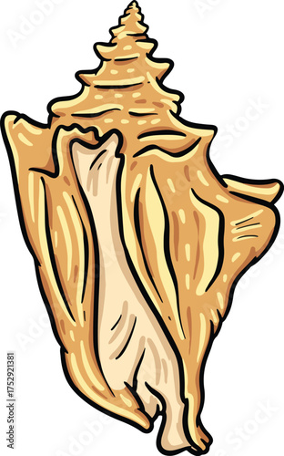 Hand drawn clipart illustration of seashell shell mollusc seaside shellfish 