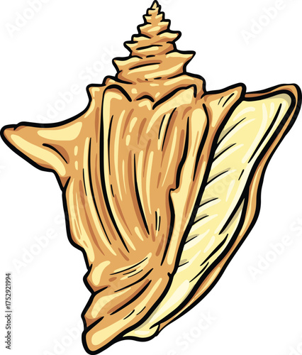 Hand drawn clipart illustration of seashell shell mollusc seaside shellfish 