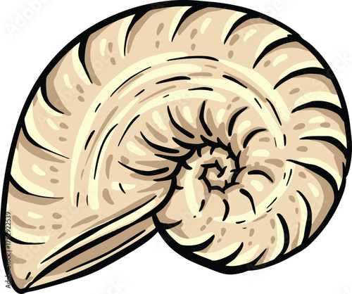 Hand drawn clipart illustration of seashell shell mollusc seaside shellfish 