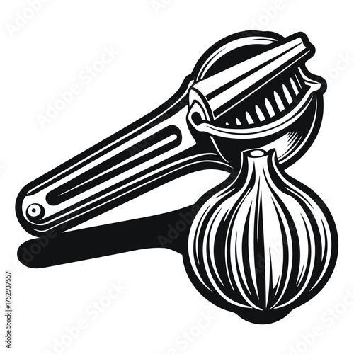 Black and white shows a garlic press above whole garlic bulb