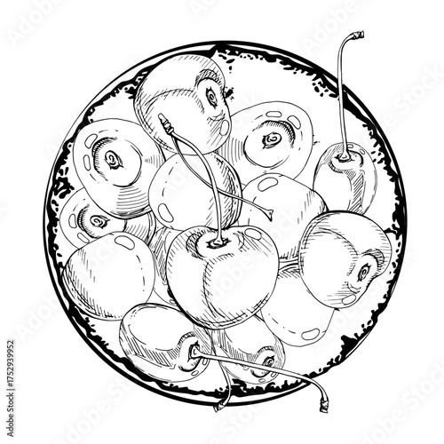 Sweet sour line cherry berries on ceramic plate, hand drawn vector ink, scattered ripe cerise drupes. Isolated composition illustration. For restaurant, cafe dessert menu, wedding, farmers market