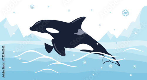 A majestic orca breaches the icy water surrounded by falling snowflakes during a cold winter day.