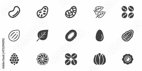 art displays diverse organic icons featuring leaves, beans, seeds, egg, and flowers beautifully