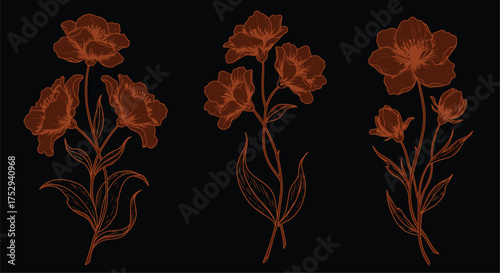 Glowing orange floral arrangement against a dark solid black background