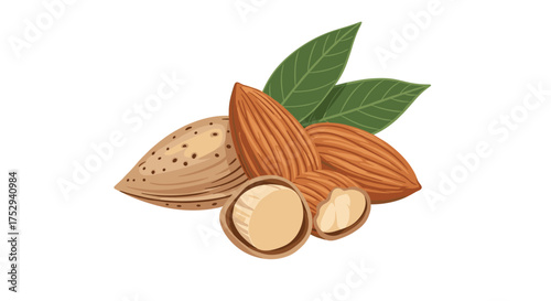 Delicious and nutritious almonds a healthy snack option for everyone.