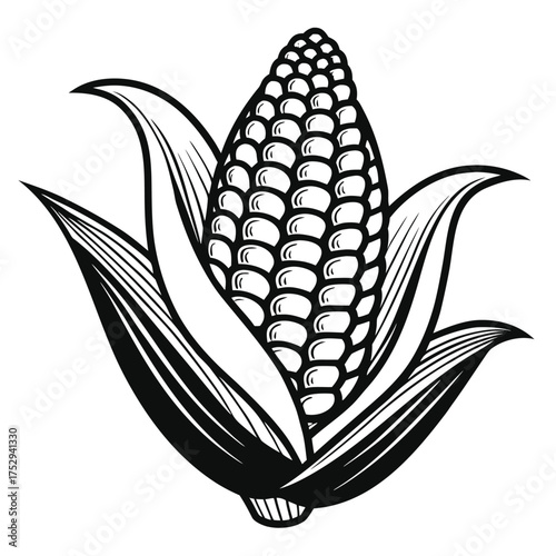 Black and white corn cob shows detailed kernels and overlapping husk leaves