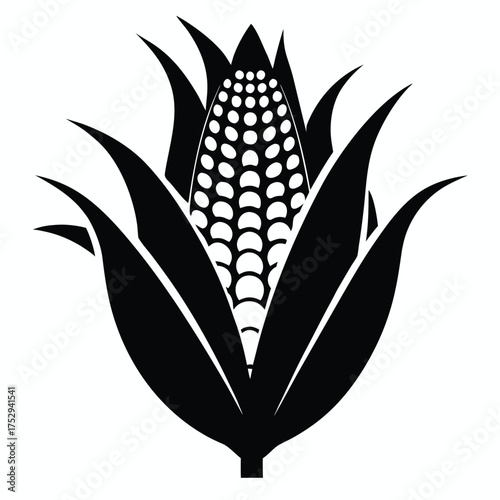 Black monochrome drawing showcases a maize plant's leaves and kernels against white space