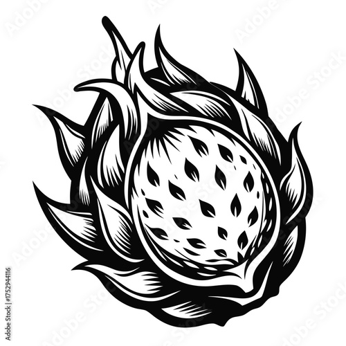 Monochromatic dragon fruit displays sharp spiky textures and small seeds on a white backdrop