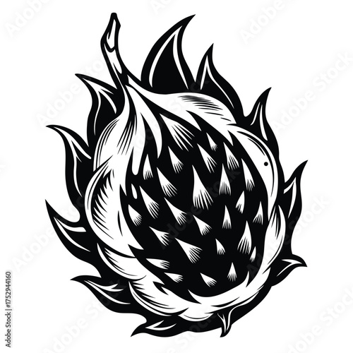 Detailed of a dragon fruit displays intricate spiky scales in stark black and white