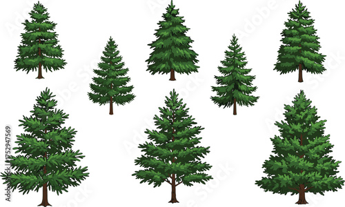Evergreen coniferous tree illustration set, pine spruce fir collection, forest clipart, green foliage, outdoor vegetation, eco concept, landscape design, seasonal 