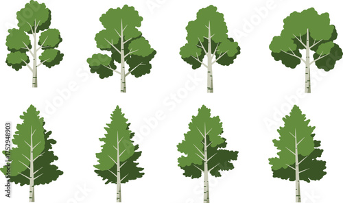 Mixed tree illustration set, birch aspen evergreen collection, diverse foliage clipart, forest element, outdoor vegetation, eco concept, seasonal artwork, 