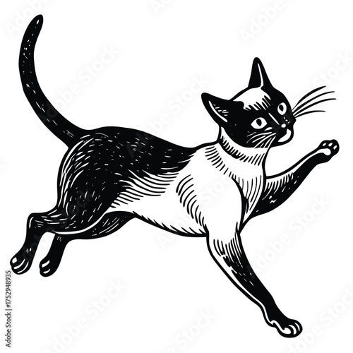 Black and white vector illustration of a domestic cat silhouette with an outline